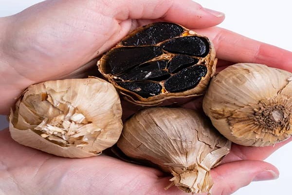 تصویر 1 از قیمت سیر سیاه خشک + فروش ویژه